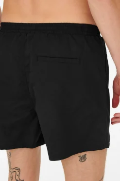 Ba&ntilde;ador corto