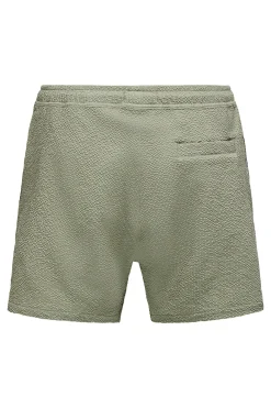 Ba&ntilde;ador corto