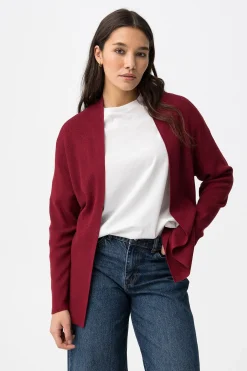 C&aacute;rdigan B&aacute;sico