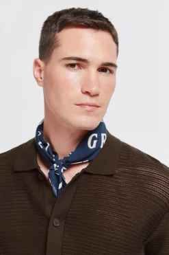 C&aacute;rdigan estructura