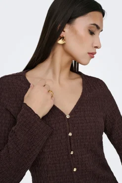 C&aacute;rdigan estructura