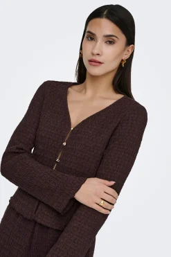 C&aacute;rdigan estructura