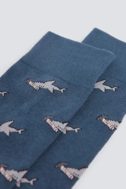 Calcet&iacute;n largo tibur&oacute;n martillo