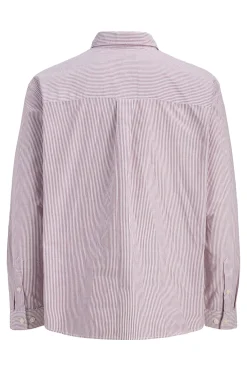 Camisa Oxford estampada manga larga