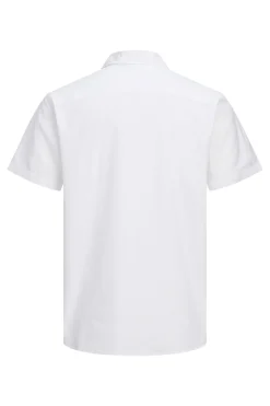 Camisa oxford regular fit