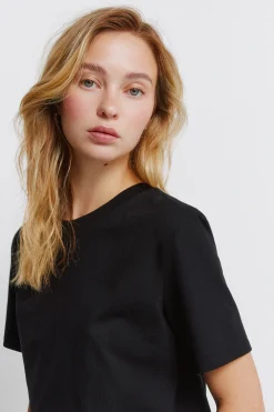 Camiseta b&aacute;sica algod&oacute;n