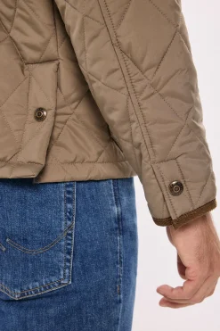 Cazadora regular fit