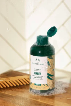 Champ&uacute; Anticaspa de Jengibre 250ml