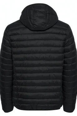 Chaqueta Puffer con capucha