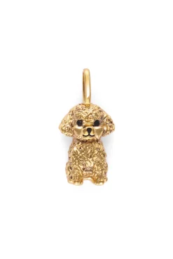 Charm Caniche Toy Ba&ntilde;o Oro