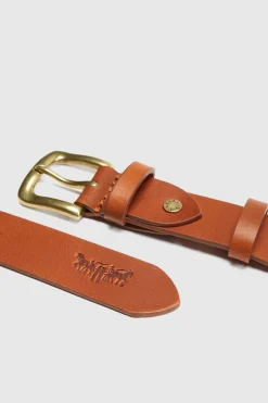 Cintur&oacute;nLevis&reg;