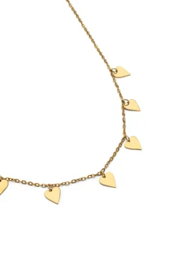 Collar Passion Acero Ba&ntilde;o Oro