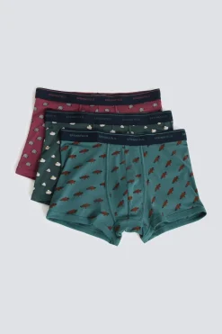 Pack 3 boxers animales