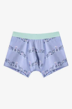 Pack 3 boxers dino rayas