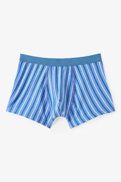 Pack 2 boxers dino rayas