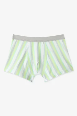 Pack 3 boxers dino rayas