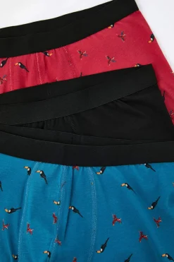 Pack de 3 boxer p&aacute;jaros