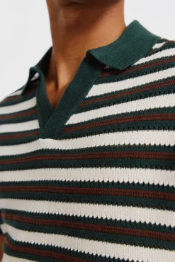 Polo raya estructura