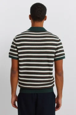 Polo raya estructura