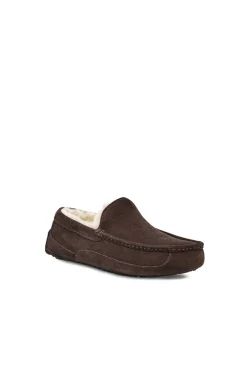 Slipper cerrada suede Ascot. Marca UGG