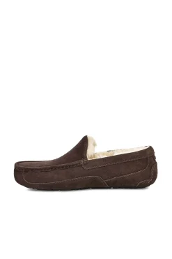 Slipper cerrada suede Ascot. Marca UGG