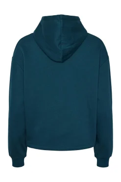 Sudadera b&aacute;sica capucha