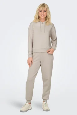 Sudadera b&aacute;sica con capucha