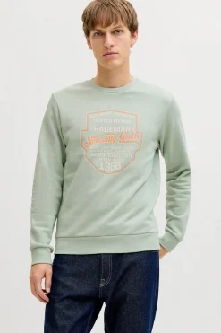 Sudadera b&aacute;sica manga larga