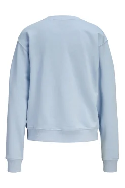 Sudadera b&aacute;sica regular fit