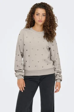 Sudadera bordado lurex