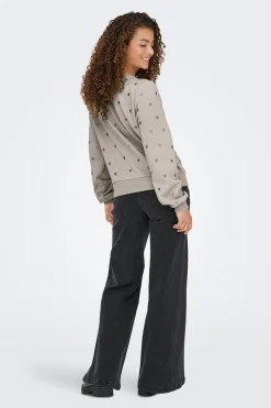 Sudadera bordado lurex