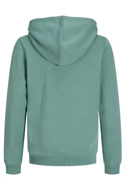 Sudadera con capucha