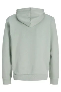 Sudadera con capucha b&aacute;sica