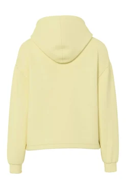 Sudadera hoodie b&aacute;sica