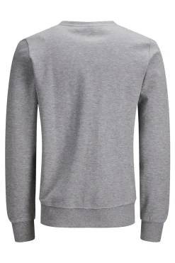 Sudadera lisa algod&oacute;n