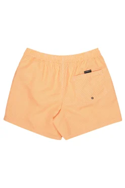 Traje de ba&ntilde;o logo